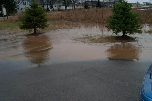 054 2001-04-11 WATER IN YARD AT CONDO 1