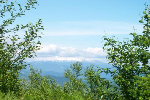 152 2001-06-13 MT. ST. HELENS