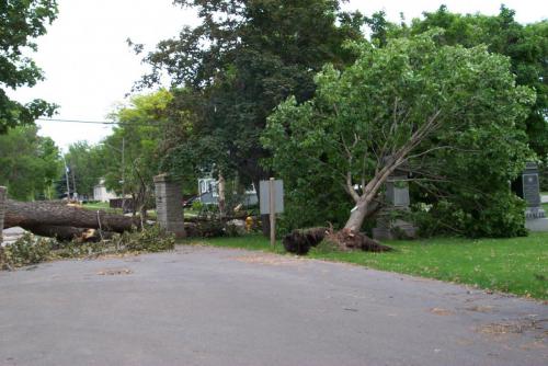 183 2001-06-17 CEMETERY 2