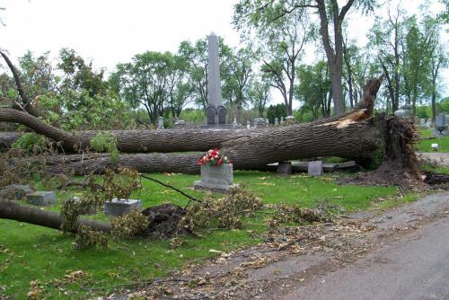 186 2001-06-17 CEMETERY 5