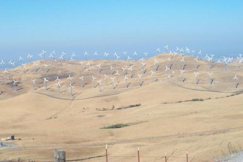 250 2001-07-28 WINDMILLS