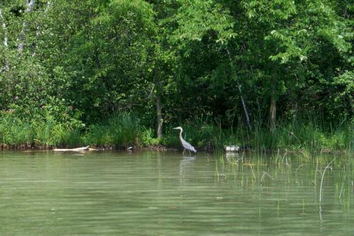 212 2002-07-14 PONTOON BOAT8