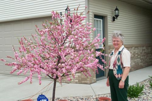 227 2003-05-15JANE HARMAN SIDE OF CRAB APPLE TREE