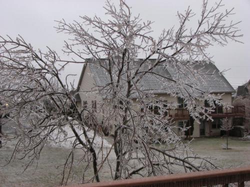 0050  4 10 13 ICE STORM IMG 3093